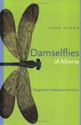 Damselflies of Alberta Flying Neon Toothpicks in the Grass