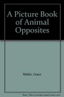 A Picture Book of Animal Opposites