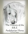The History of the PRE Andalusian Horse