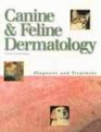 Canine  Feline Dermatology Diagnosis and Treatment