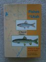 Fishes of Utah A Natural History
