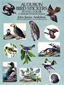 Audubon Bird Stickers in Full Color  53 PressureSensitive Designs