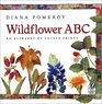 Wildflower ABC An Alphabet of Potato Prints