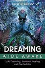 Dreaming Wide Awake Lucid Dreaming Shamanic Healing and Psychedelics