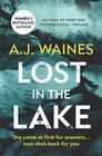 Lost in the Lake an edge of your seat psychological thriller