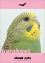 Parakeets