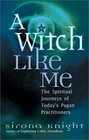 A Witch Like Me The Spiritual Journeys of Today's Pagan Practitioners