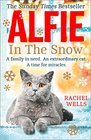 Alfie in the Snow (Alfie, Bk 5)