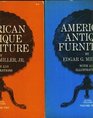 American Antique Furniture A Book for Amateurs Vol 1