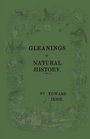 Gleanings Of Natural History