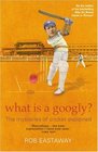 What Is a Googly The Mysteries of Cricket Explained