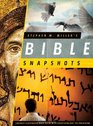 Stephen M Miller's Bible Snapshots Lavishly Illustrated Bible Guide with Everything but the Preaching