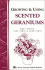 Growing  Using Scented Geraniums