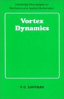 Vortex Dynamics
