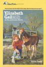 Elizabeth Gail and the Mystery at the Johnson Farm