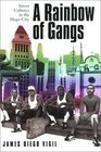 Rainbow of Gangs Street Cultures in the MegaCity