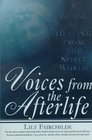 Voices from the Afterlife