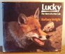 Lucky The Story of a Fox Cub