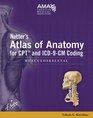 Netter's Atlas of Anatomy for CPT and ICD9CM Coding Musculoskeletal