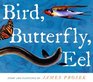 Bird Butterfly Eel