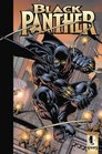 Black Panther Enemy Of The State TPB