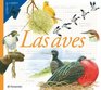 Las Aves / The Birds