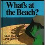 What's at the Beach A LifttheFlap Popup Book