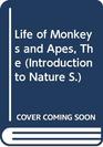 Life of Monkeys and Apes