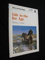 Life in the Ice Age