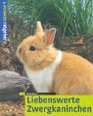 Liebenswerte Zwergkaninchen