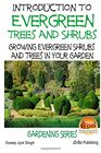Introduction to Evergreen Trees and Shrubs  Growing Evergreen Shrubs and Trees in Your Garden