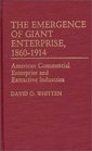 The Emergence of Giant Enterprise 18601914 American Commercial Enterprise and Extractive Industries