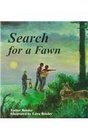 Search for a Fawn