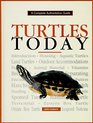 Turtles Today (Complete Authoritative Guide)
