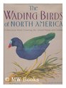 Wading Birds Of North America