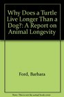 Why Does a Turtle Live Longer Than a Dog A Report on Animal Longevity