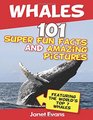 Whales 101 Fun Facts  Amazing Pictures