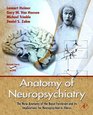 Anatomy of Neuropsychiatry The New Anatomy of the Basal Forebrain and its Implications for Neuropsychiatric Illness