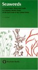 Seaweeds A ColorCoded Illustrated Guide to Common Marine Plants of the East Coast of the United States