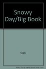 Snowy Day/Big Book