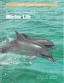 Laboratory  Field Investigations in Marine Life Gulf Coast Version