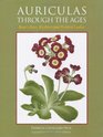 Auriculas Through the Ages Bear's Ears Ricklers and Painted Ladies