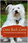Come Back Como Winning the Heart of a Reluctant Dog