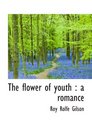 The flower of youth  a romance
