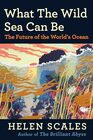 What the Wild Sea Can Be The Future of the Worlds Ocean