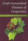Grafttransmitted Diseases of Grapevines