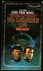 The Wounded Sky (Star Trek: The Original Series, Bk 13)