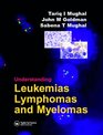 Understanding Leukemias Lymphomas and Myelomas