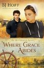 Where Grace Abides (Riverhaven Years, Bk 2)