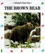 The Brown Bear Giant of the Mountains